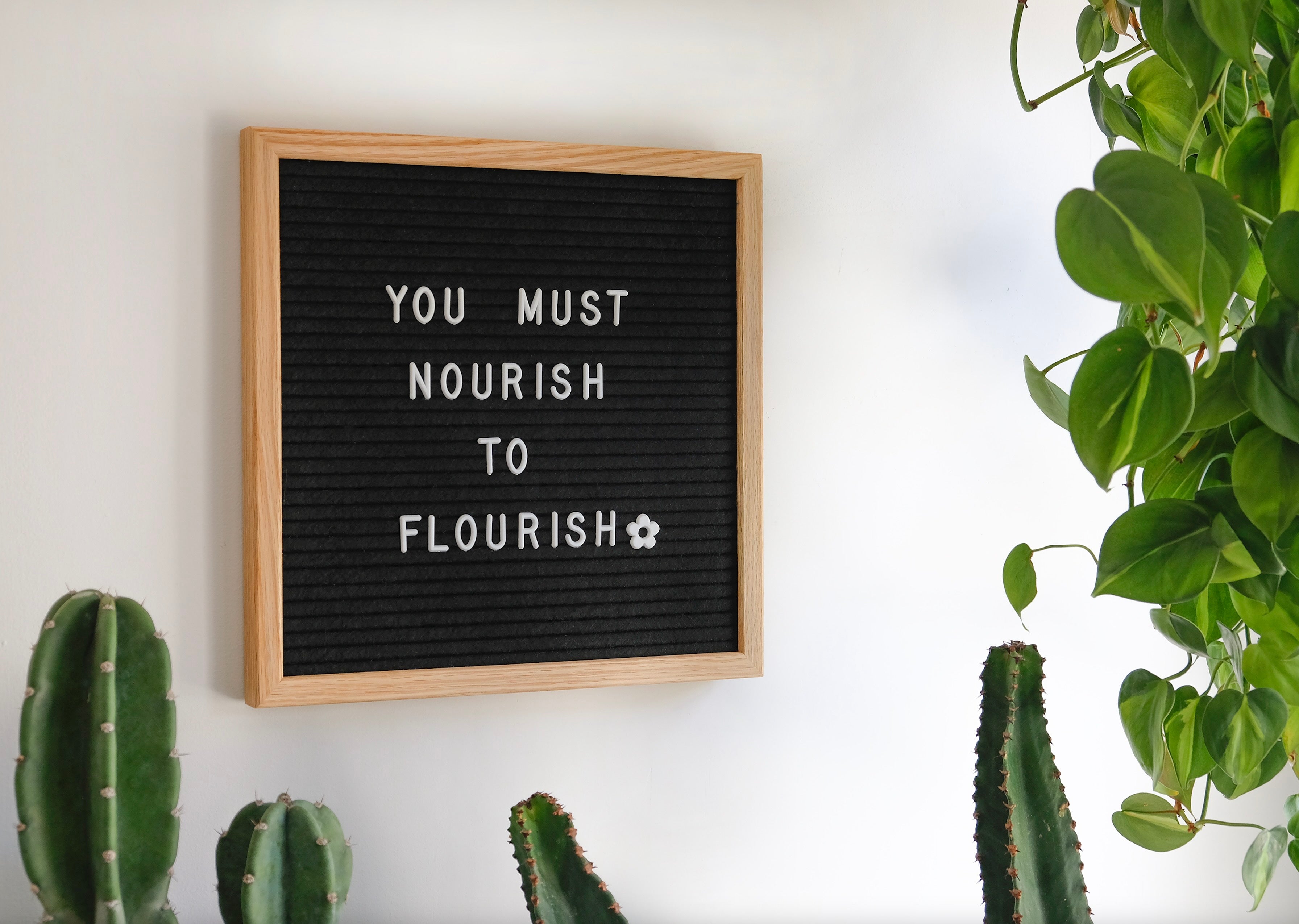 black-board-reads-you-must-nourish-to-flourish